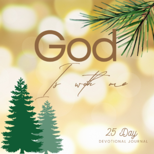 Christmas Devotional Journal